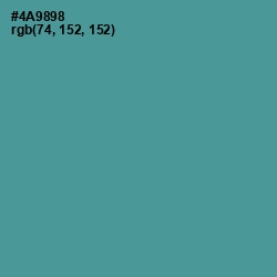 #4A9898 - Smalt Blue Color Image