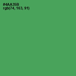 #4AA35B - Fruit Salad Color Image