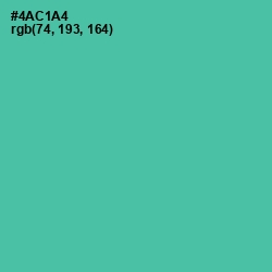 #4AC1A4 - De York Color Image