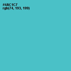 #4AC1C7 - Viking Color Image