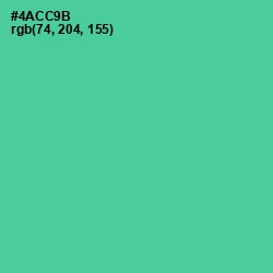 #4ACC9B - De York Color Image