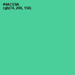 #4ACE9A - De York Color Image