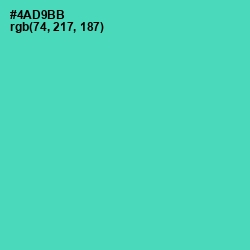 #4AD9BB - De York Color Image