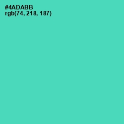 #4ADABB - De York Color Image