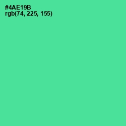 #4AE19B - De York Color Image