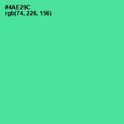 #4AE29C - De York Color Image