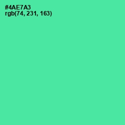 #4AE7A3 - De York Color Image