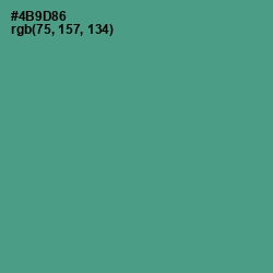 #4B9D86 - Smalt Blue Color Image