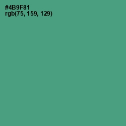 #4B9F81 - Smalt Blue Color Image
