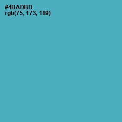 #4BADBD - Fountain Blue Color Image