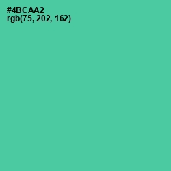 #4BCAA2 - De York Color Image