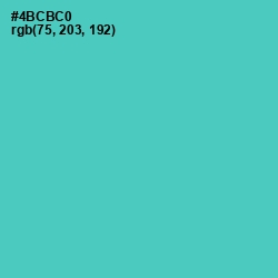 #4BCBC0 - Downy Color Image