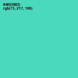 #4BD9BD - De York Color Image