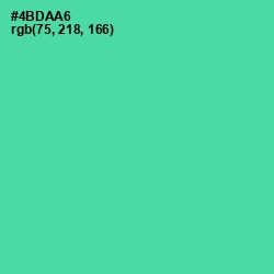 #4BDAA6 - De York Color Image