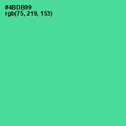 #4BDB99 - De York Color Image