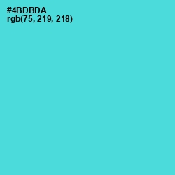 #4BDBDA - Viking Color Image