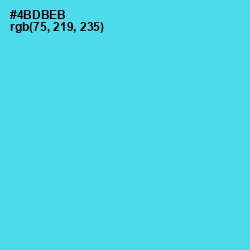 #4BDBEB - Viking Color Image