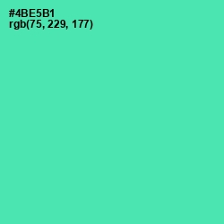 #4BE5B1 - De York Color Image