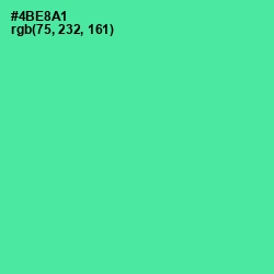 #4BE8A1 - De York Color Image