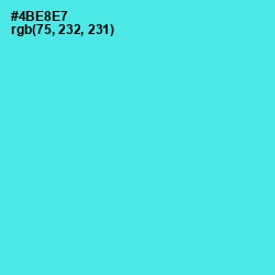 #4BE8E7 - Turquoise Blue Color Image