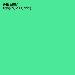 #4BE997 - De York Color Image