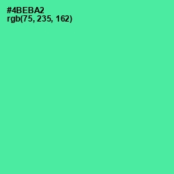 #4BEBA2 - De York Color Image