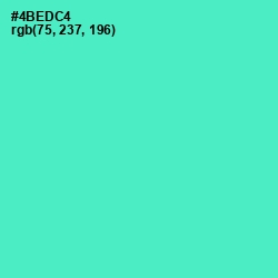 #4BEDC4 - Downy Color Image