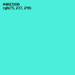 #4BEDDB - Turquoise Blue Color Image