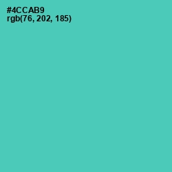 #4CCAB9 - De York Color Image