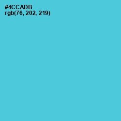 #4CCADB - Viking Color Image