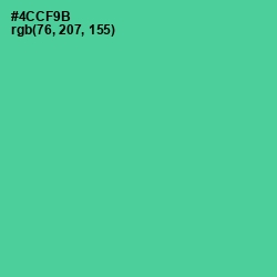 #4CCF9B - De York Color Image