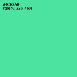 #4CE2A0 - De York Color Image