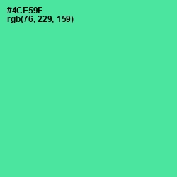 #4CE59F - De York Color Image