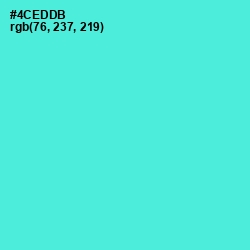 #4CEDDB - Turquoise Blue Color Image