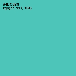 #4DC5B8 - De York Color Image