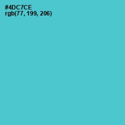 #4DC7CE - Viking Color Image