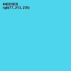 #4DD5EB - Viking Color Image