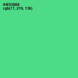 #4DDB88 - De York Color Image