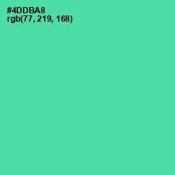 #4DDBA8 - De York Color Image