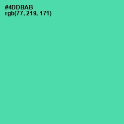 #4DDBAB - De York Color Image