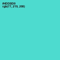 #4DDBD0 - Viking Color Image