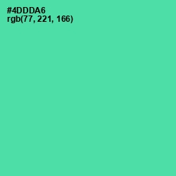 #4DDDA6 - De York Color Image