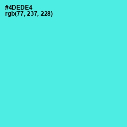 #4DEDE4 - Turquoise Blue Color Image