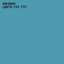 #4E9BB1 - Hippie Blue Color Image