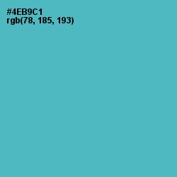 #4EB9C1 - Shakespeare Color Image