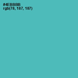 #4EBBBB - Fountain Blue Color Image