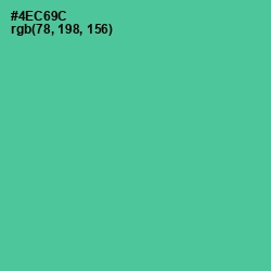#4EC69C - De York Color Image