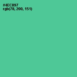 #4EC897 - De York Color Image
