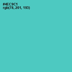#4EC9C1 - Downy Color Image