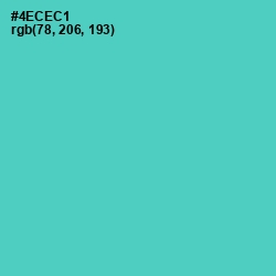 #4ECEC1 - Downy Color Image